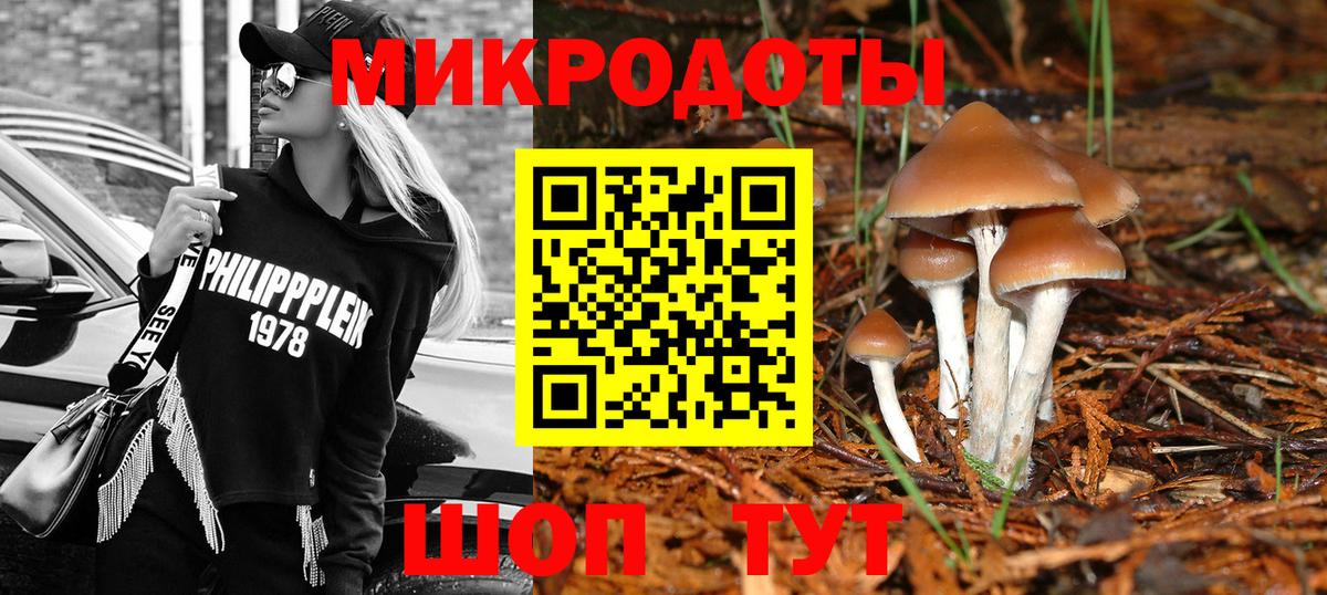 Мытищи  Псилоцибиновые грибы GOLDEN TEACHER  Псилоцибиновые грибы Magic Shrooms  Вход с VPN 