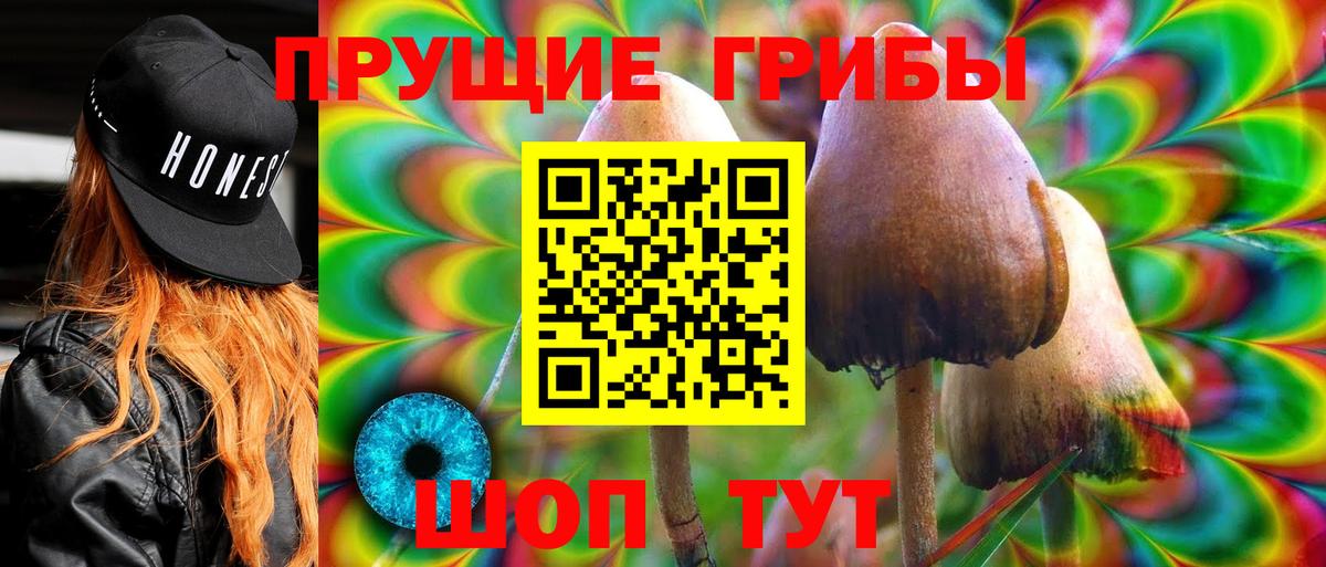 Псилоцибиновые грибы мухоморы Мытищи